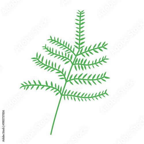 green outline of tropical leaves