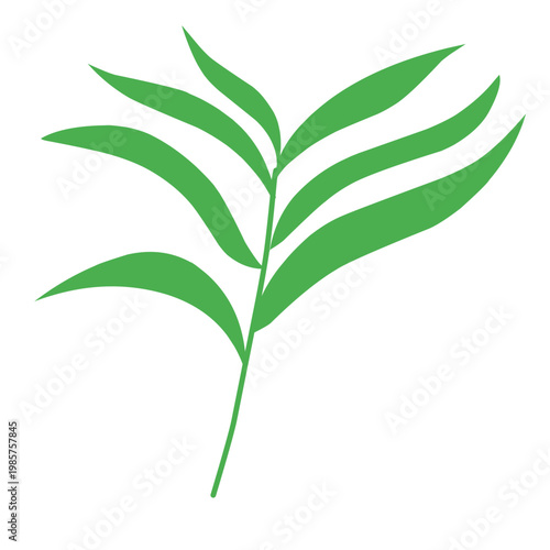 green outline of tropical leaves