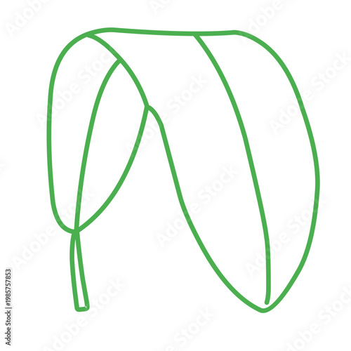 green outline of tropical leaves