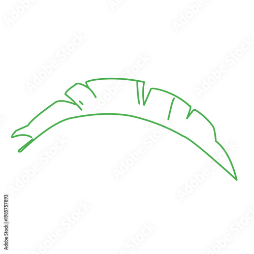 green outline of tropical leaves
