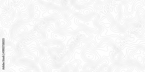 Minimal relief topography map area wallpaper. vector topo paper lines. Topographic contour lines grid map pattern. Geographic hiking mountain art dynamic design.