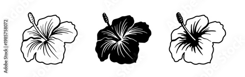 Silhouette tropical black hibiscus vector flowers set. Floral monochrome illustration decal, decor, clipart, poster, sticker, template. Tea hibiscus.