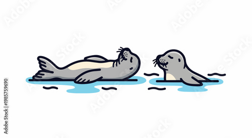 Two cute seals resting in blue water with white background
