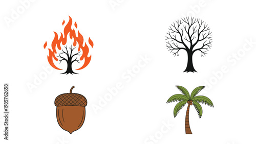 Assorted nature icons depicting a burning tree, a leafless winter tree, a brown acorn nut, and a tropical green palm tree on white.