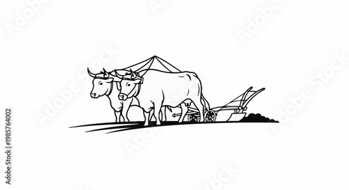 Two oxen pull a plow through the soil, a traditional farming scene