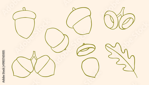 Acorns Hand Drawn Vector Icons Set. Monochrome Design Elements Isolated. Perfect For Print, Stickers, Cards, Packaging, Stationery or Textile.