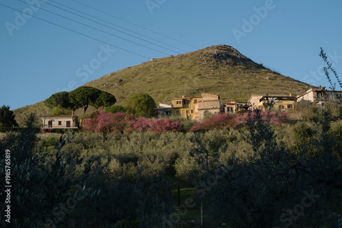 Scenic view of the medieval hilltop village of Fara in Sabina surrounded by olive groves in the Lazio region, Italy