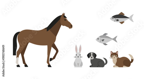 Illustration of various domestic animals in a row