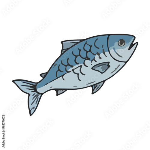 Hand Drawn Sardine Fish Illustration Isolated on White