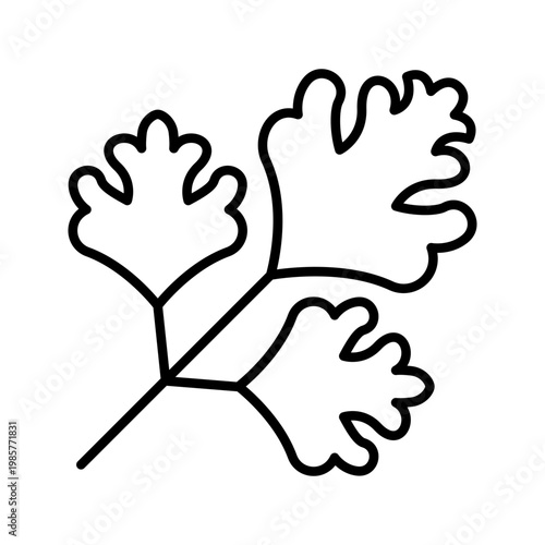 Cilantro leaf icon. Food and herbs line symbol. Black and white.