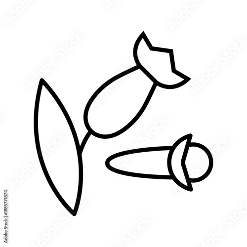 Clove spice icon. Food and spices line symbol. Black and white.