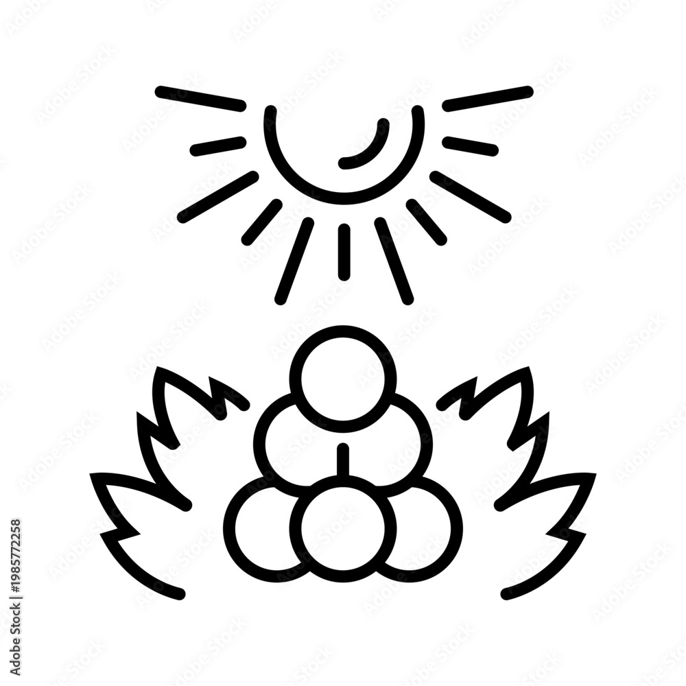 Naklejka premium Grape cluster icon. Food and fruit line symbol. Black and white.