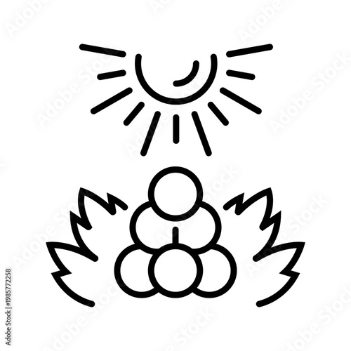 Grape cluster icon. Food and fruit line symbol. Black and white.