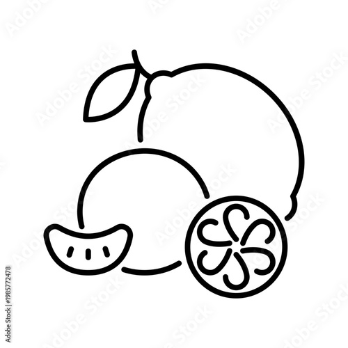 Lemon slice icon. Food and citrus line symbol. Black and white.
