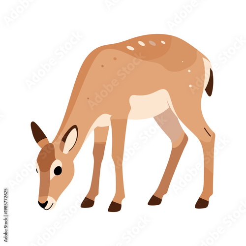 Young fawn with spots grazes with its head down, nibbling on grass in a cartoon style flat vector illustration.