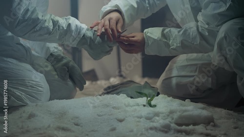 Researchers in hazmat suits tending sprout on snowbed inside abandoned lab gloved hands use tweezers to remove frost and inspect sample sterile protective gear, cold blue light, tense hopeful