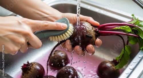 Washing Fresh Organic Beetroots Under Running Water in a Kitchen Sink.