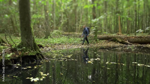 Hiker walking through a forest beside a dark reflective water pool in soft light