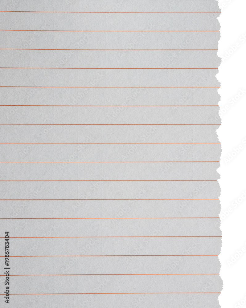 Naklejka premium White lined notebook paper texture with a vertical ragged torn edge
