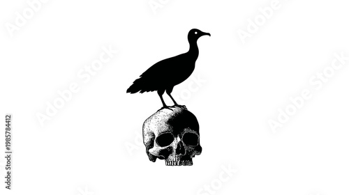 Silhouette art of a bird atop a skull.  Dark imagery on a white background, high contrast, minimalist