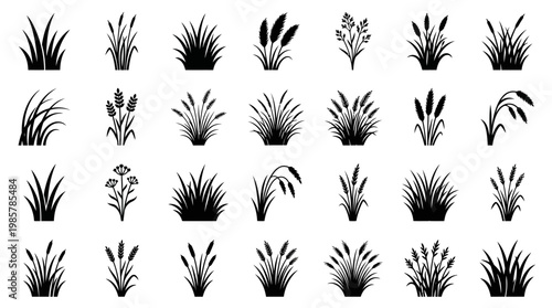 Variety of Grass and Plant Silhouettes.