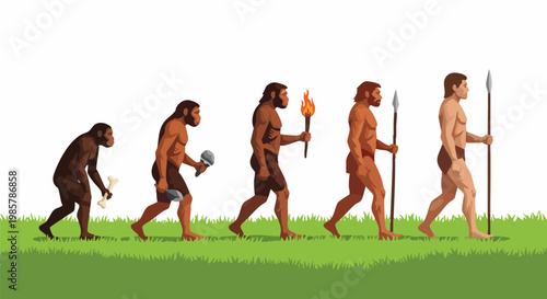 Human evolution theory vector illustration, biological development from ape to modern man, primitive ancestors timeline on green grass
