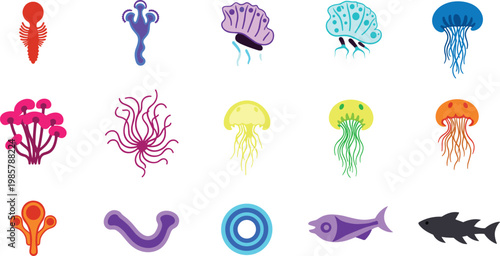 Jellyfish and colorful marine invertebrate species aquatic wildlife flat icon set