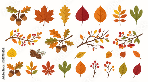 Collection of autumn leaves and branches.