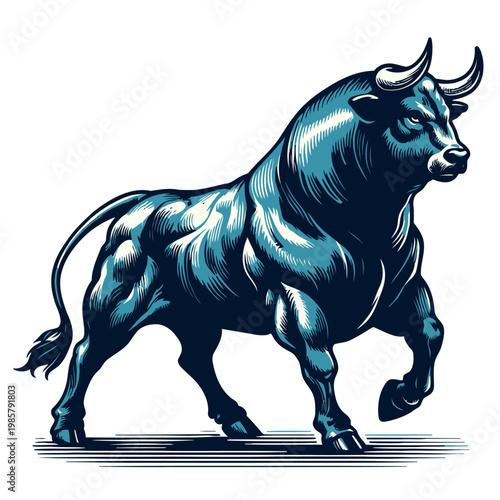 Bull vector and illustration.