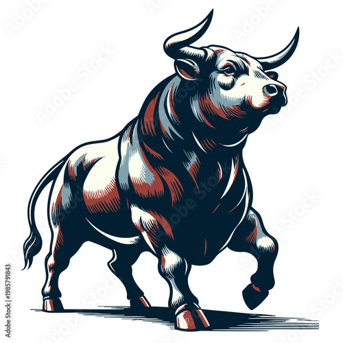 Bull vector and illustration.