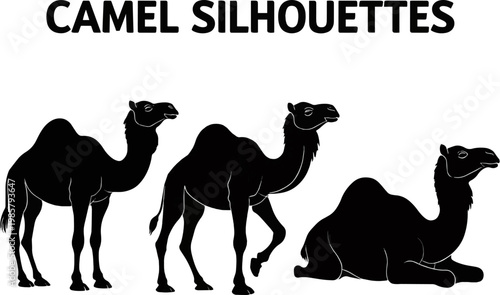 Generate a realistic kinds of deferent Camel vector art silhouette with white background.