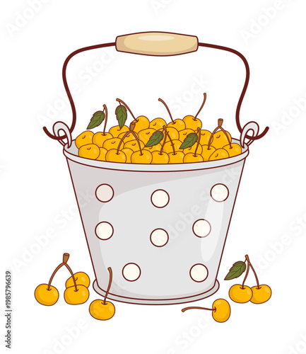 Metal Vintage Bucket With Ripe Yellow Sweet Cherries. Rustic Fresh Summer Harvest. Eco Friendly Organic Food Fruit In Enamel Pail Polka Dot. Vector Illustration. Countryside Lifestyle, Garden Foraging