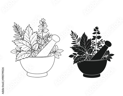 Herb mortar and pestle illustration with various green plants and leaves