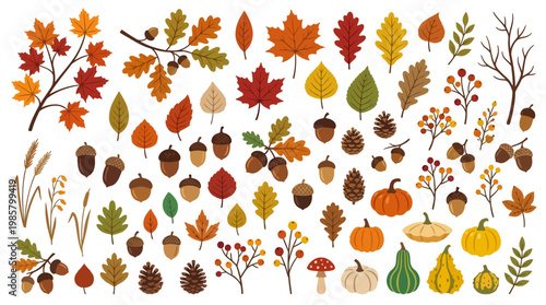 Autumn Leaves and Fall Elements Collection.