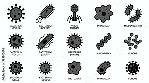 Collection of various microorganism icons including bacteria, virus, fungus and protozoa set on white background, concept for medical education, laboratory research and scientific presentation