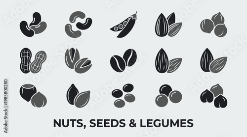 Minimalist flat vector icon set of various nuts seeds and legumes like almonds peanuts and cashews, concept for healthy food packaging, vegan nutrition blog and culinary infographics