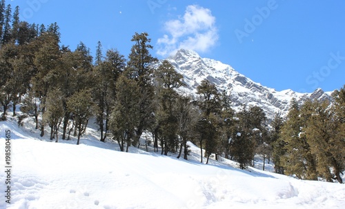 Canvas Print Snow covered hills of Manali in India. Photo: March 25, 2013