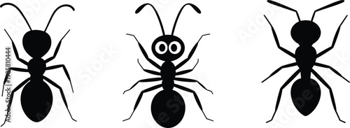 Ant silhouettes set, insect collection isolated, black bug icons, nature wildlife vector illustration