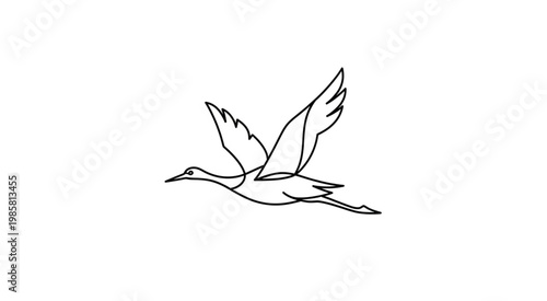 A bird flies over landscape with wings spread wide in flight.