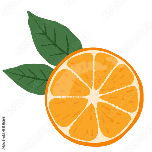 Orange slice with green leaves. For juice labels, packaging, menus and healthy food design. On light background.
