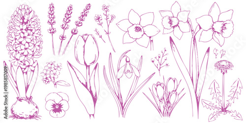Bright pink neon hand drawn botanical spring flowers set elements vector illustration