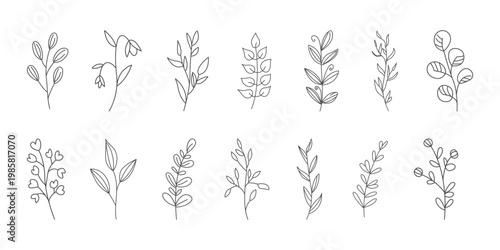 Botanical line art vector set. Hand drawn leaf and branch outline, minimal floral illustration collection.