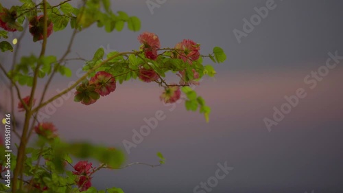 Floral design of autumn flowers and orange leaves floating in the water showcases the beauty of nature through a colorful foliage pattern