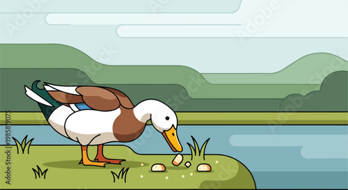 Vector illustration of a duck eating breadcrumbs by a calm river in nature