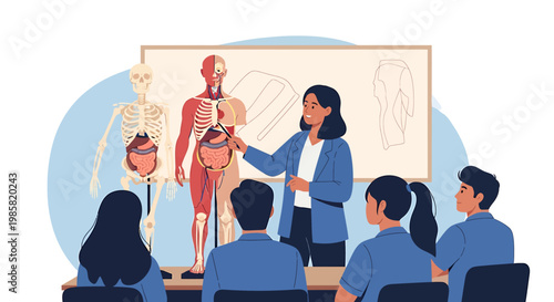Anatomical Illustration of Human Body Systems for Medical Education.