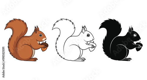 Squirrel vector illustrations in different colors and styles are shown
