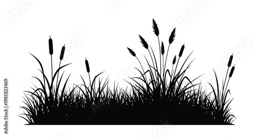 Black silhouette of cattails and grasses against a white background