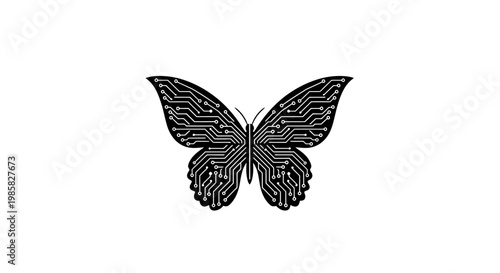 Black butterfly with patterned wings isolated.