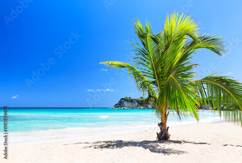 Minimal tropical beach scene with a single palm tree, white sand and turquoise ocean in Punta Cana, Dominican Republic.