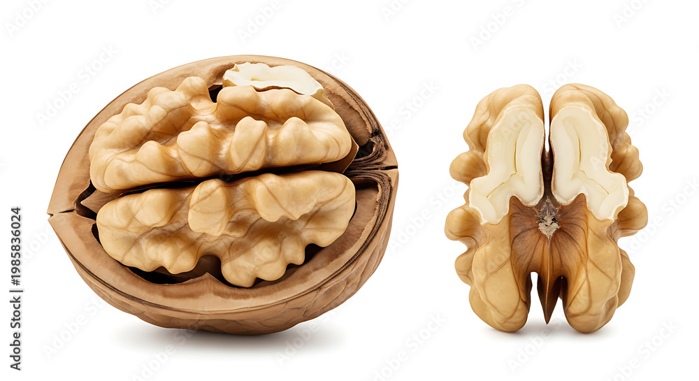 Fototapeta premium Walnut halves on white background